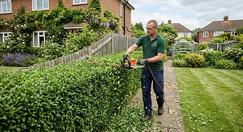 Hedge trimming 1