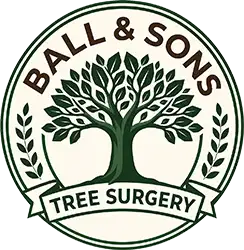 Ball and Sons Tree Surgery